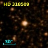 HD 318509