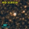 HD 318516