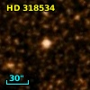HD 318534