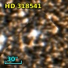 HD 318541