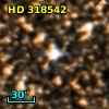 HD 318542