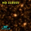 HD 318555