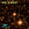 HD 318557
