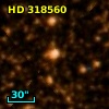 HD 318560