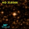 HD 318566
