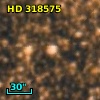HD 318575