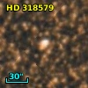 HD 318579