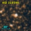 HD 318590