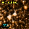 HD 318591