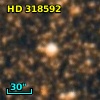 HD 318592