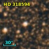 HD 318594