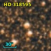 HD 318595