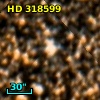 HD 318599