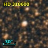 HD 318600