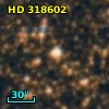 HD 318602