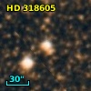 HD 318605