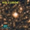HD 318608