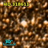 HD 318611