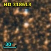 HD 318613