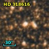 HD 318616