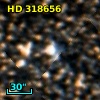 HD 318656