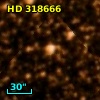 HD 318666