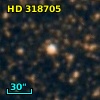 HD 318705