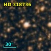 HD 318736