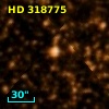 HD 318775