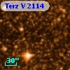 Terz V 2114