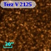 Terz V 2125