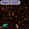 Terz V 2129