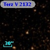Terz V 2132