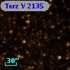 Terz V 2135