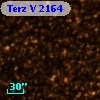 Terz V 2164