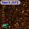 Terz V 2171