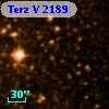 Terz V 2189