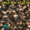 OGLE BUL-SC41 568646