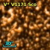 V* V1171 Sco