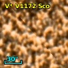 V* V1172 Sco
