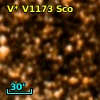 V* V1173 Sco