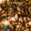 V* V1174 Sco