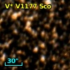 V* V1177 Sco