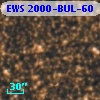 EWS 2000-BUL-60