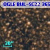OGLE BUL-SC22  36591