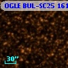 OGLE BUL-SC25 161976