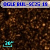 OGLE BUL-SC25     18