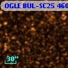 OGLE BUL-SC25  46064
