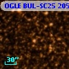 OGLE BUL-SC25 205389