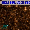 OGLE BUL-SC25 602699